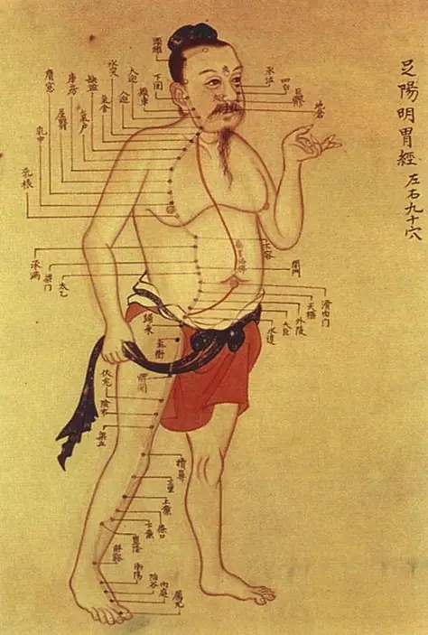 Chinese medicine illustration